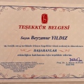 Resmi büyüt: certificate 23