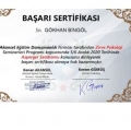 Resmi büyüt: certificate 3