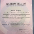 Resmi büyüt: certificate 6