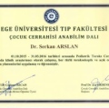 Resmi büyüt: certificate 1