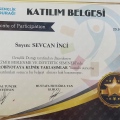 Resmi büyüt: certificate 6