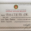 Resmi büyüt: certificate 5