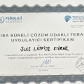 Resmi büyüt: certificate 25