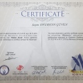 Resmi büyüt: certificate 13