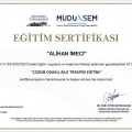 Resmi büyüt: certificate 9