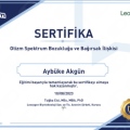 Resmi büyüt: certificate 13
