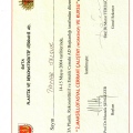 Resmi büyüt: certificate 15