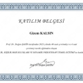 Resmi büyüt: certificate 1