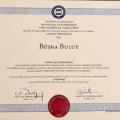 Resmi büyüt: certificate 1