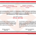 Resmi büyüt: certificate 4