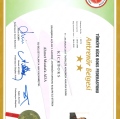 Resmi büyüt: certificate 51