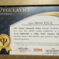 Resmi büyüt: certificate 10