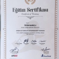 Resmi büyüt: certificate 21