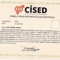 Resmi büyüt: certificate 20