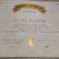 Resmi büyüt: certificate 2