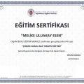 Resmi büyüt: certificate 15