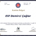 Resmi büyüt: certificate 38