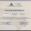 Resmi büyüt: certificate 9
