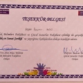 Resmi büyüt: certificate 17