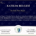 Resmi büyüt: certificate 1