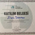 Resmi büyüt: certificate 1