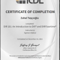 Resmi büyüt: certificate 6