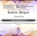 Resmi büyüt: certificate 6