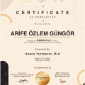 Resmi büyüt: certificate 1