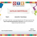 Resmi büyüt: certificate 9