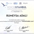 Resmi büyüt: certificate 12