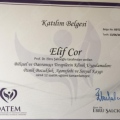 Resmi büyüt: certificate 6