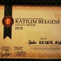 Resmi büyüt: certificate 8