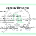 Resmi büyüt: certificate 6