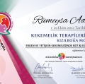 Resmi büyüt: certificate 9