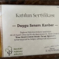 Resmi büyüt: certificate 3