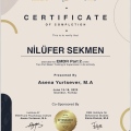 Resmi büyüt: certificate 14