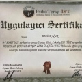 Resmi büyüt: certificate 4