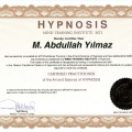 Resmi büyüt: certificate 11
