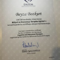Resmi büyüt: certificate 1