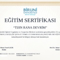 Resmi büyüt: certificate 5