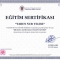 Resmi büyüt: certificate 2