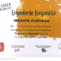 Resmi büyüt: certificate 2