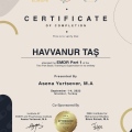 Resmi büyüt: certificate 1
