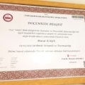Resmi büyüt: certificate 6
