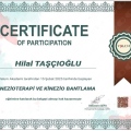 Resmi büyüt: certificate 1