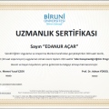 Resmi büyüt: certificate 2