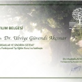 Resmi büyüt: certificate 22
