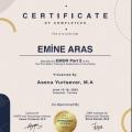 Resmi büyüt: certificate 4