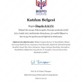 Resmi büyüt: certificate 1