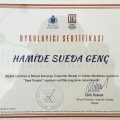 Resmi büyüt: certificate 2